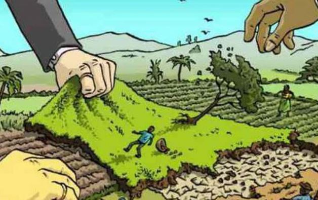 Dự án luật đất đai phải đề cập đến vấn đề ngăn ngừa biến đất đai thành tài sản thương mại