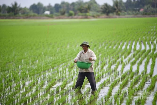 Miễn thuế sử dụng đất nông nghiệp với toàn bộ diện tích đất dùng để phục vụ nghiên cứu, sản xuất…