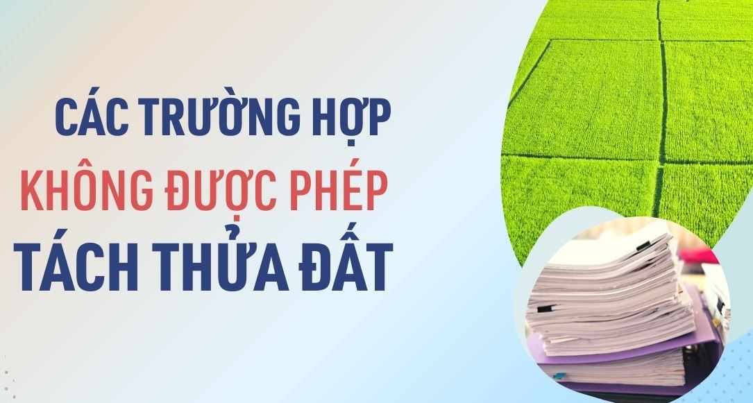 Có 2 trường hợp không được tách thửa đất theo quy định đó là không đáp ứng điều kiện diện tích tách thửa đất và quyền sử dụng đất