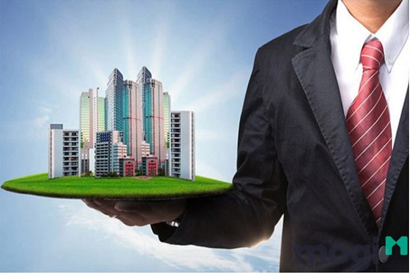 Tìm hiểu thông tin chủ đầu tư là một trong những bước quan trọng khi mua chung cư