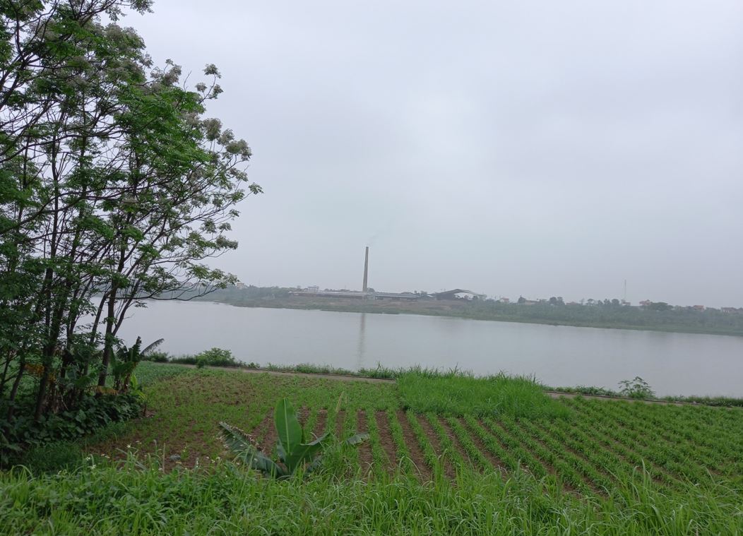 Đất không có sổ đỏ khi nhà nước thu hồi sẽ được bồi thường nếu đủ điều nhận giấy chứng nhận nhưng chưa được cấp