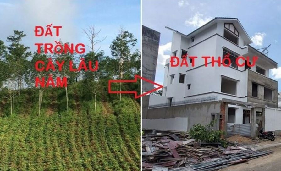 Để chuyển mục đích sử dụng đất trồng cây lâu năm lên thổ cư phải có sự cho phép của cơ quan nhà nước thẩm quyền