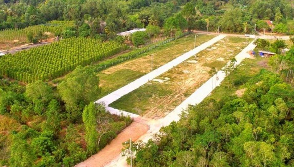 Hiện nay, pháp luật không cho phép xây nhà tạm trên đất trồng cây lâu năm