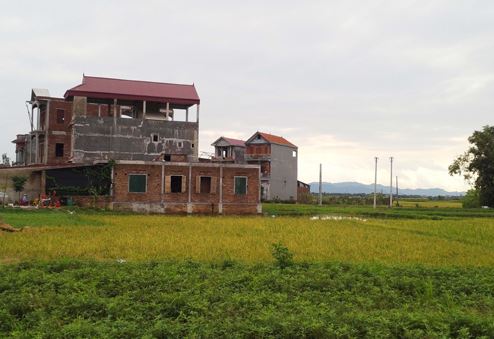 Có thể nói, việc xây dựng nhà vườn bằng gỗ trên mảnh đất nuôi trồng thủy sản ở Cần Giờ là không được phép
