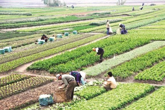 Khi thực hiện thủ tục chuyển từ hình thức thuê đất sang giao đất, bạn cần chuẩn bị hồ sơ đầy đủ rồi đến nộp tại Văn phòng đăng ký đất đai
