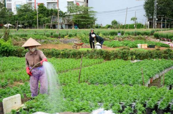 Đất thuê là đất được Nhà nước cho thuê thông qua hợp đồng theo 02 trường hợp cho thuê quyền sử dụng đất