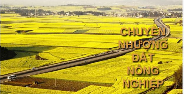 Quy trình chuyển nhượng đất nông nghiệp mà bạn cần nắm rõ
