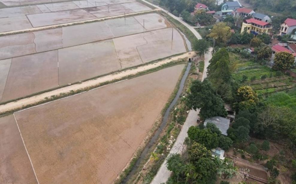 Cho thuê đất nông nghiệp không thông qua hình thức đấu giá thực hiện theo các bước đơn giản