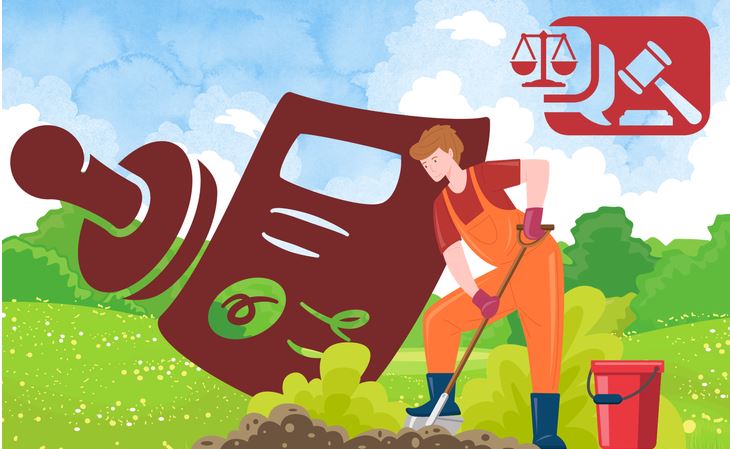 Đất khai hoang là đất được Nhà nước giao đất, cho thuê đất