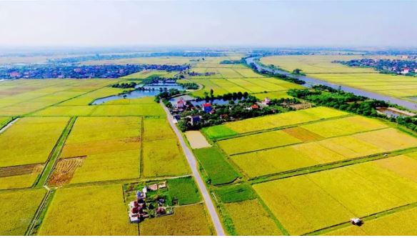 Đất nông nghiệp cần đáp ứng đủ 6 điều kiện mới chuyển đổi mục đích sử dụng