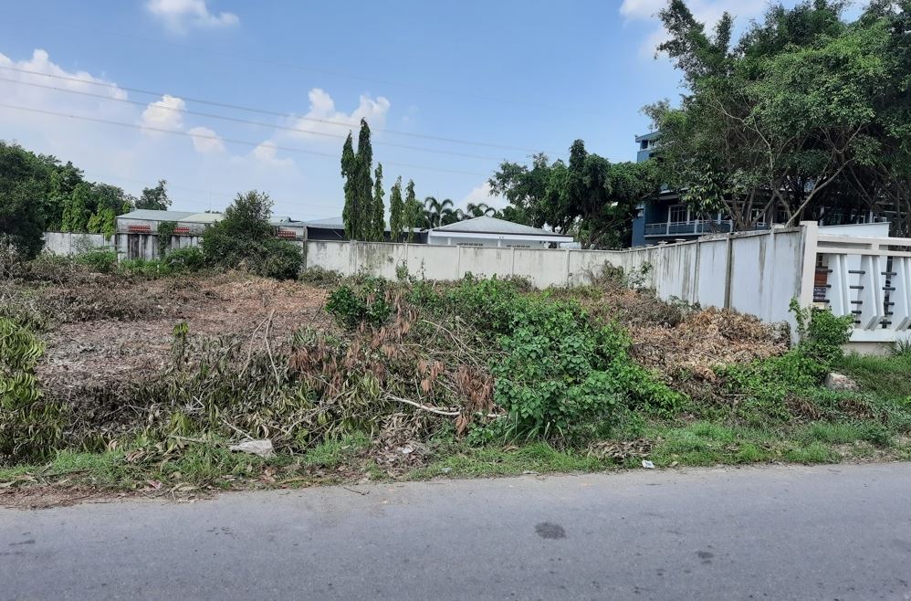 Luật đất đai hiện không có quy định về đất nông nghiệp nằm trong khu phố dân cư